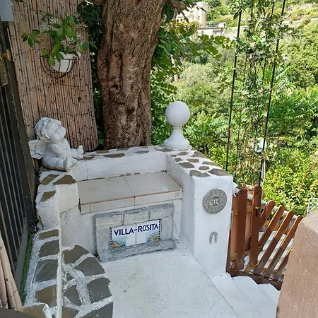 Apartament Rosita Amazing *